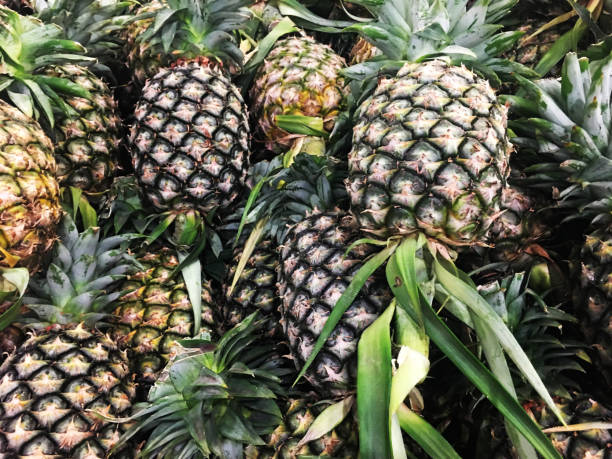 istock A lot of pineapple fruit background 1752197266