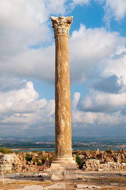 앤시언트 컬럼에 al-미나 고고학 사이트 레바논에 - city of tyre lebanon antiquities archaeology 뉴스 사진 이미지