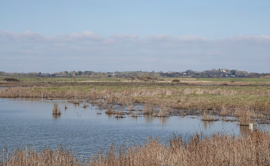 Old Hall Marshes wetland nature reserve in Essex, England.