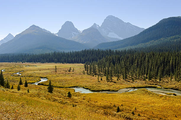 istock Landscape in Kananaskis Country 175220820