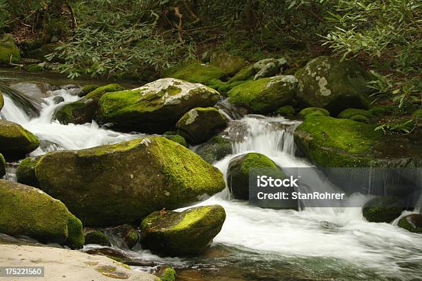 Photo libre de droit de Vert Mousse Ruisseau De Montagne Smoky Mountains Dans Le Tennessee banque d'images et plus d'images libres de droit de Cascade