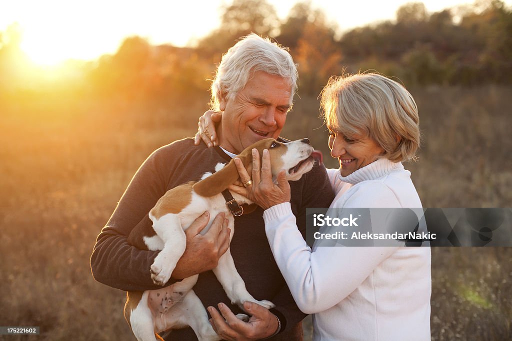 Altes Paar mit Ihrem Haustier - Lizenzfrei Hund Stock-Foto