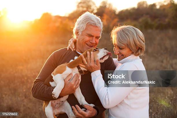 Par Sênior Com Seu Animal De Estimação - Fotografias de stock e mais imagens de Casal Idoso - Casal Idoso, Cão, 60-69 Anos