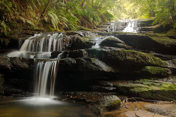 istock Blue Mountains Waterfall - Leura Cascades 175221620