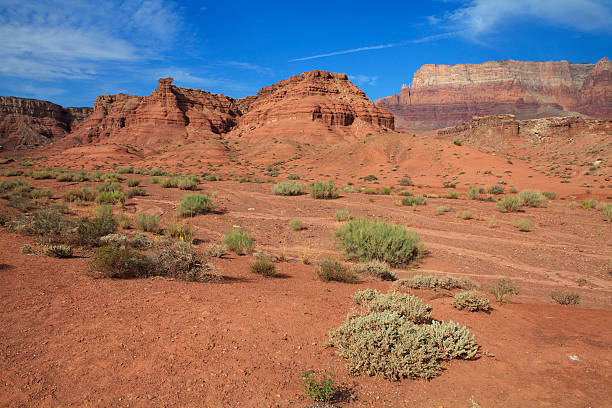 istock Marble canyon national park, Arizona, USA. 175222030