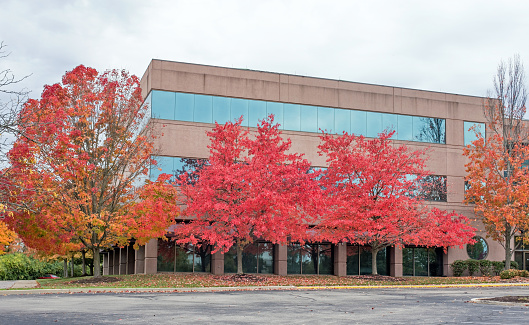 Modern, gray, block building with vibrant, red and orange fall foliage on overcast day.