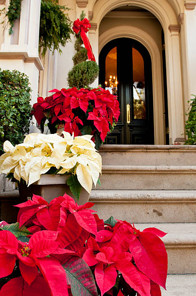 Holiday decorations stock photo