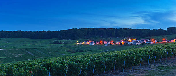 Champagne vineyards in Cramant Late summer vineyards of a Premiere Cru area of France showing the lines of vines in the background and diagonal vines in the foreground.The village of Cramant as night falls with street lights shining in the background. cramant stock pictures, royalty-free photos & images