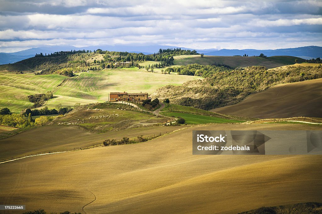 トスカーナの農家の風景とヴァルドルチャ - なだらかな起伏のある地形のロイヤリティフリーストックフォト
