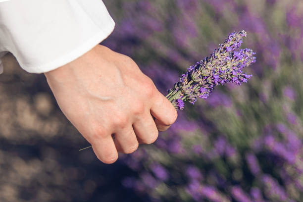 istock Woman's hand with a lavender flower 1752231810