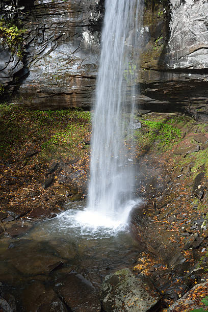 cataratas de hills creek en west virginia - monongahela national forest landscapes nature waterfall fotografías e imágenes de stock