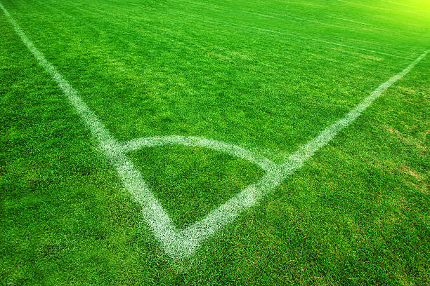 istock Corner of Soccer Field 175223729