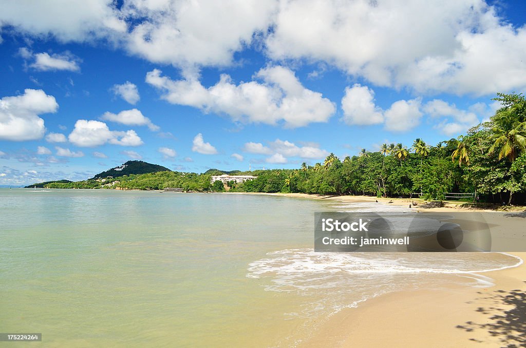 Splendida baia nei Caraibi - Foto stock royalty-free di Albero