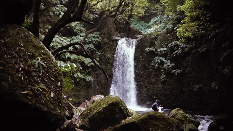 Hikers at waterfall surrounded by vegetation in the forest