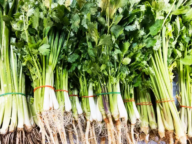 Spring onion and coriander at fresh-food market in thailand.