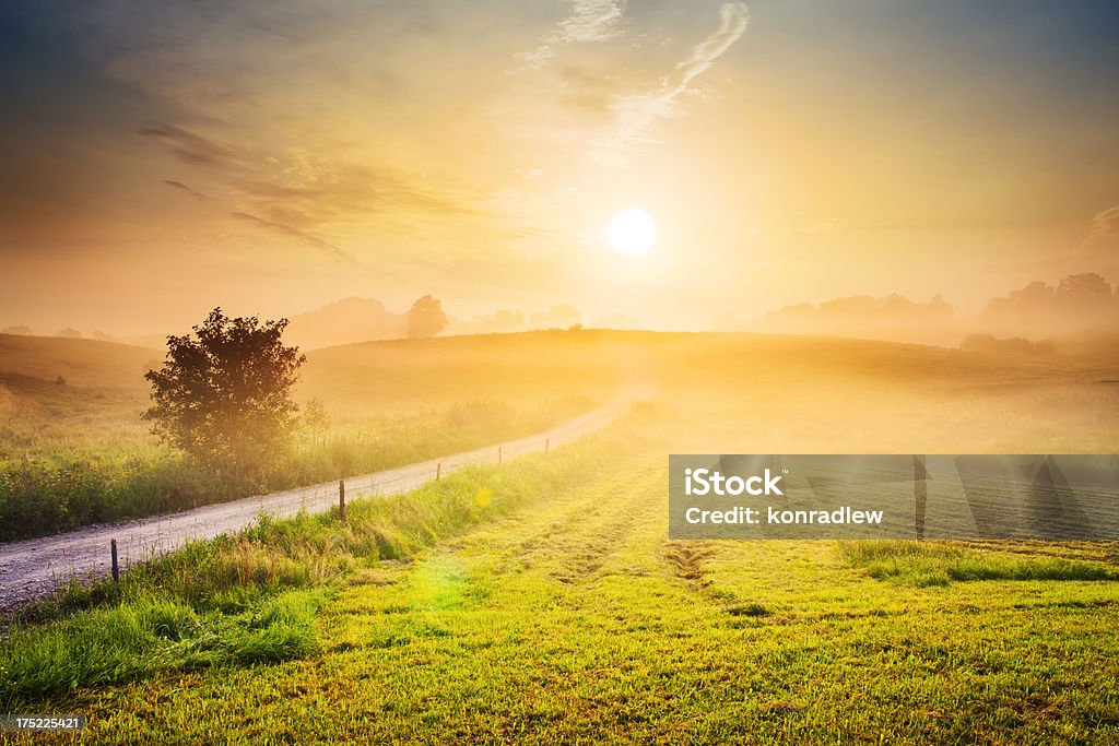 Contry Road en direction de le soleil brumeux Paysage vallonné - Photo de Soleil libre de droits