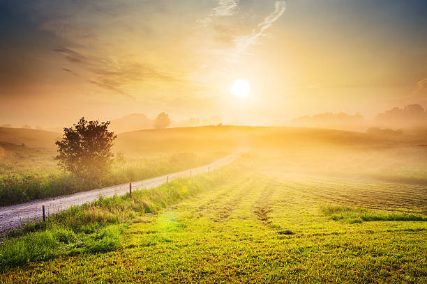 Contry Road Towards The Sun - Foggy Rolling Landscape stock photo