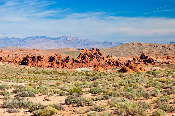 istock Valley Of Fire State Park In Nevada 175225518