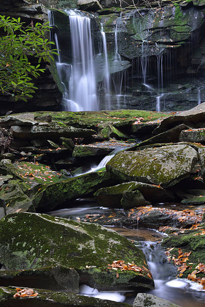 elakala falls - monongahela national forest landscapes nature waterfall fotografías e imágenes de stock