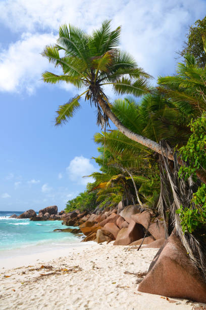 istock Anse Cocos beach, La Digue Island, Seychelles. 1752259411