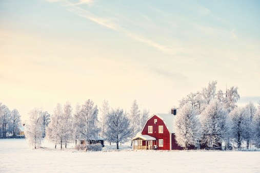 Invierno en Suecia photo