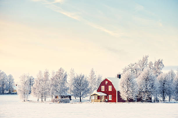 スウェーデンの冬 - winter snow landscape house ストックフォトと画像