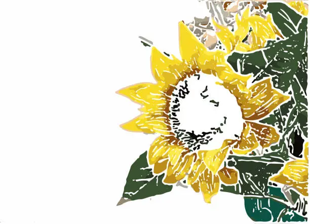 Vector illustration of watercolors style sunflower pattern Illustration artwork background