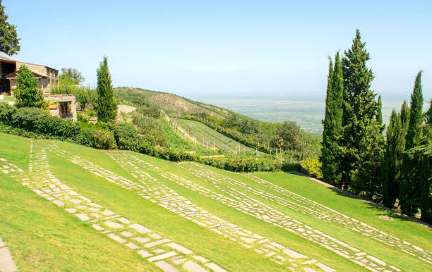 Kakheti wine producing province overview from monastery of St Nino at Bodbe yard. Kakheti region with no people. Sighnaghi Kakheti wine producing province overview from monastery of St Nino at Bodbe yard. Kakheti region with no people. Sighnaghi. kakheti georgia stock pictures, royalty-free photos & images