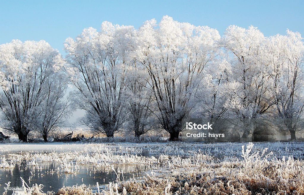 Árvore de salgueiro de Inverno Paisagem com Rio Havel (Alemanha) - Royalty-free Alemanha Foto de stock