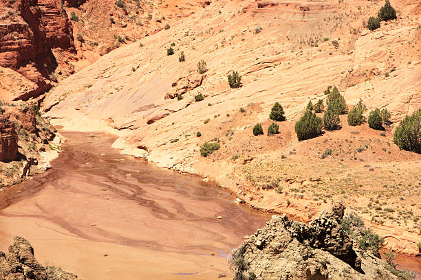 rio paisagem de deserto - red rocks rock canyon escarpment imagens e fotografias de stock