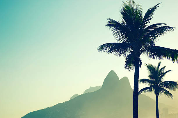 Rio de Janeiro Brazil Sunset Dois Irmaos Ipanema Beach Palms "Palm trees stand in front of misty sunset view of Dois Irmaos mountain on Ipanema Beach, Rio de Janeiro Brazil" two brothers mountain stock pictures, royalty-free photos & images