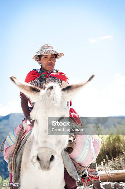 Photo libre de droit de Femme Sur Un Âne banque d'images et plus d'images libres de droit de Amérique du Sud - Amérique du Sud, Baudet, Nature