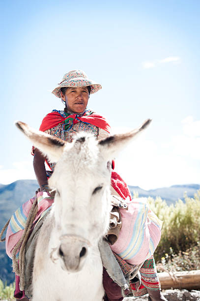 istock Woman on a Donkey 175227077