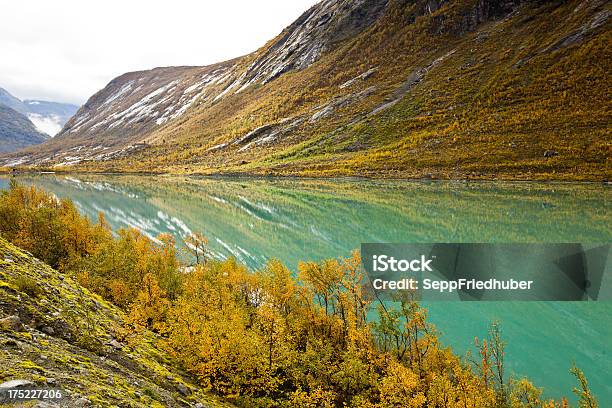 Norwegische Glacier Lake Im Herbst Stockfoto und mehr Bilder von Baum - Baum, Berg, Bunt - Farbton