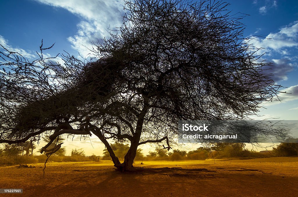 Tramonto in Etiopia - Foto stock royalty-free di Africa