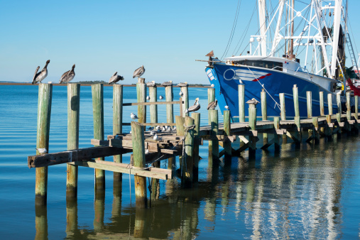 A shrimp boat, pelicans, and sea gulls at a dock on Fernandina Beach, Amelia Island, Florida