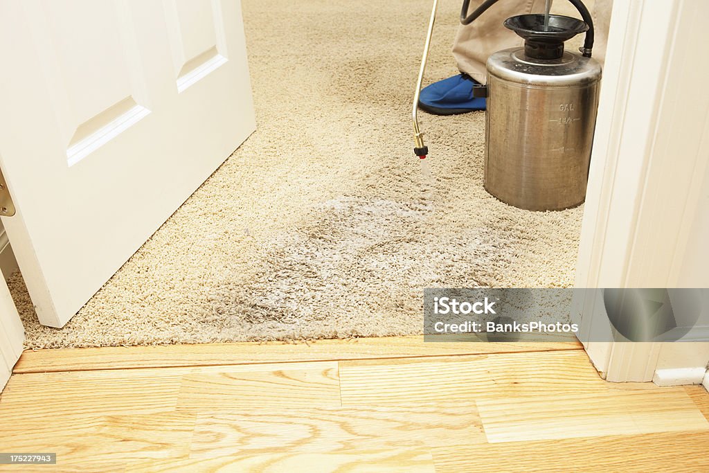 Tapete coloração tratamento com pulverizador de cada porta de entrada - Royalty-free Carpete Foto de stock