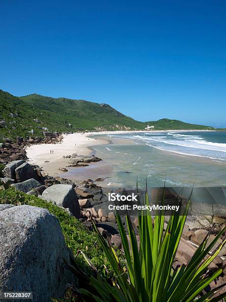 Photo libre de droit de Maillot Brésilien Beach Florianopolis Lumineuse Shoreline Green Mountains banque d'images et plus d'images libres de droit de Beauté de la nature