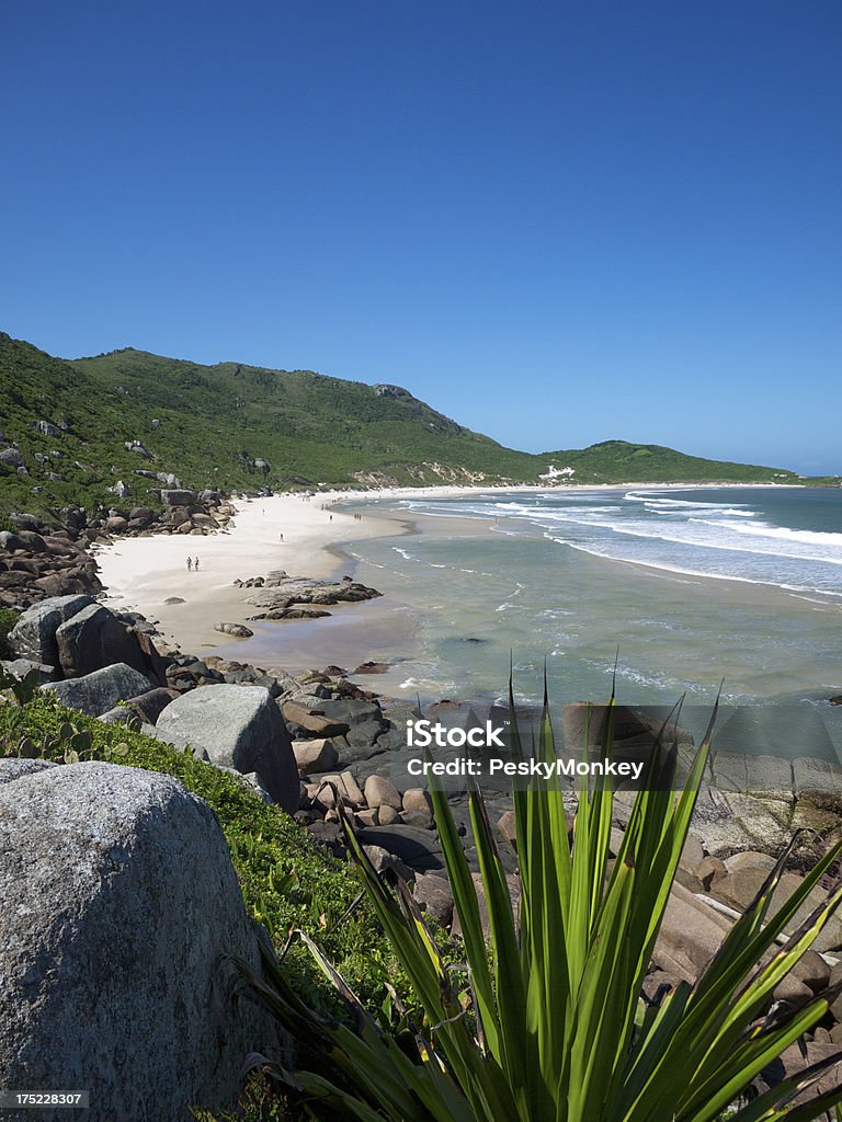 De Praia Brasileiros Florianópolis brilhante costa montanhas verdes - Foto de stock de Areia royalty-free