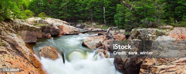 Waterfall In The Rio Pipo River Tierra Del Fuego Argentina Stock Photo -  Download Image Now - iStock