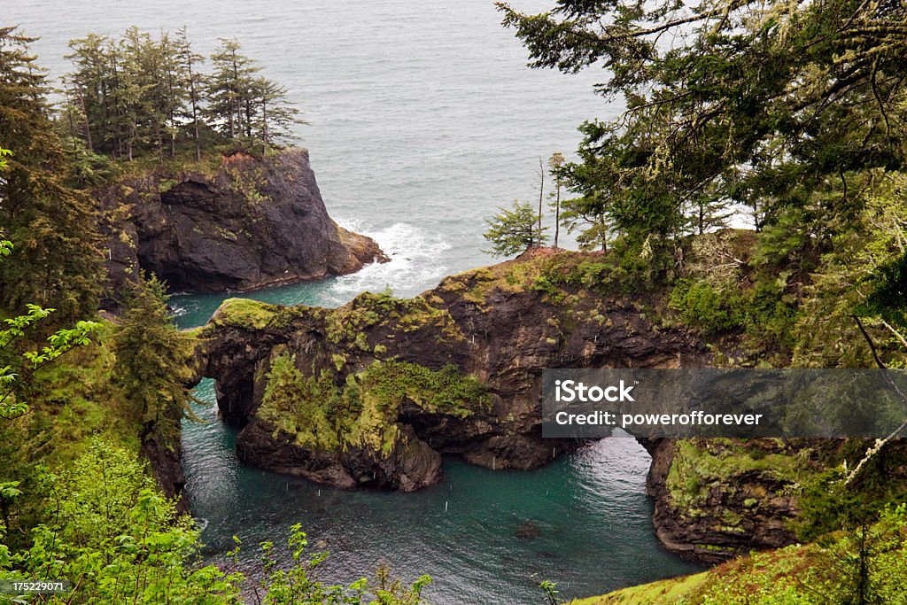 Natural Bridges na Wybrzeże Stanu Oregon - Zbiór zdjęć royalty-free (Bez ludzi)