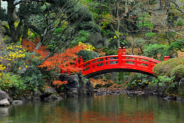 istock Japanese garden with pond and bridge 175229117