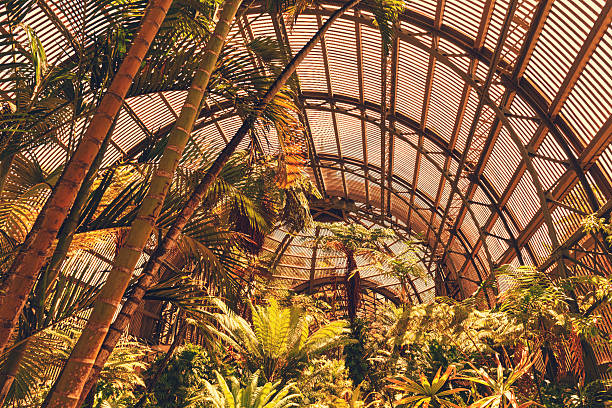 istock HDR of a greenhouse 175229127