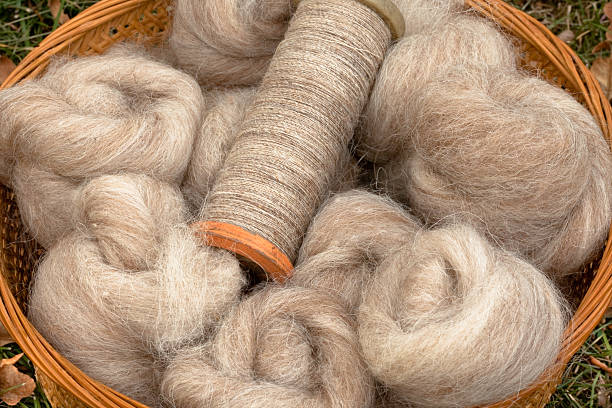 A basket of wool fiber roving with a bobbin of freshly spun wool.  An image to bring joy to the hearts of spinners and weavers.