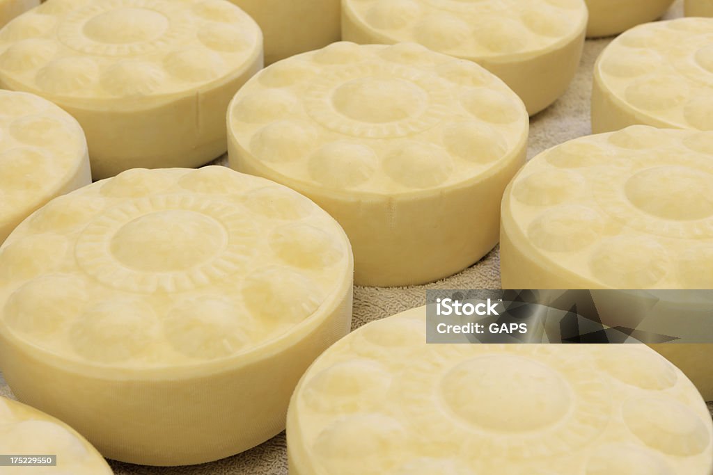 Fresco queijos em uma fazenda de gado leiteiro da Holanda - Foto de stock de Agricultura royalty-free