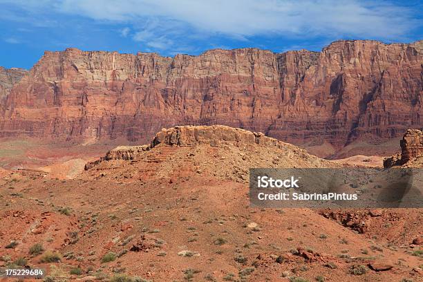 Parque Nacional De Marble Canyon Arizona Estados Unidos Foto de stock y más banco de imágenes de Acantilado