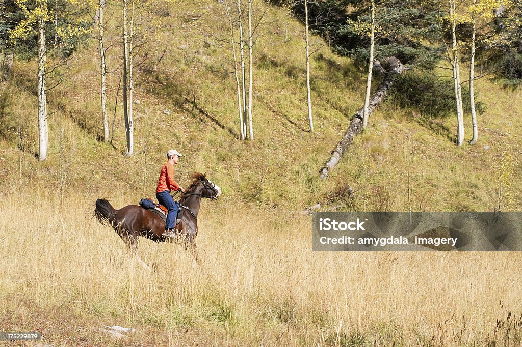 rocky mountain automne équitation - Photo de Activité de loisirs libre de droits