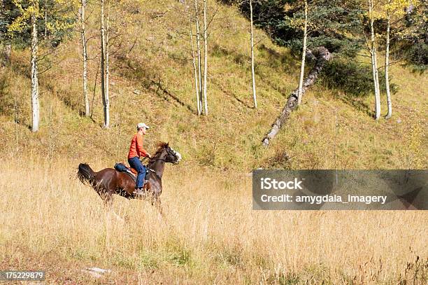 Photo libre de droit de Rocky Mountain Automne Équitation banque d'images et plus d'images libres de droit de Activité de loisirs - Activité de loisirs, Adulte, Adulte d'âge moyen