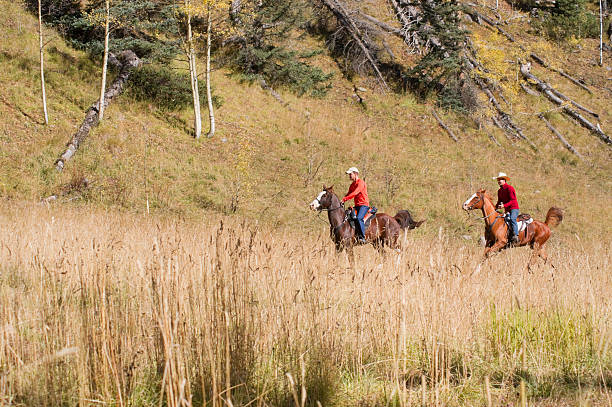 istock rocky mountain autumn horseback riding 175229883