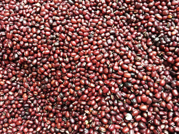 istock Close up the small type of red beans, vertical image. Fill the vertical frame with small red beans 1752299120